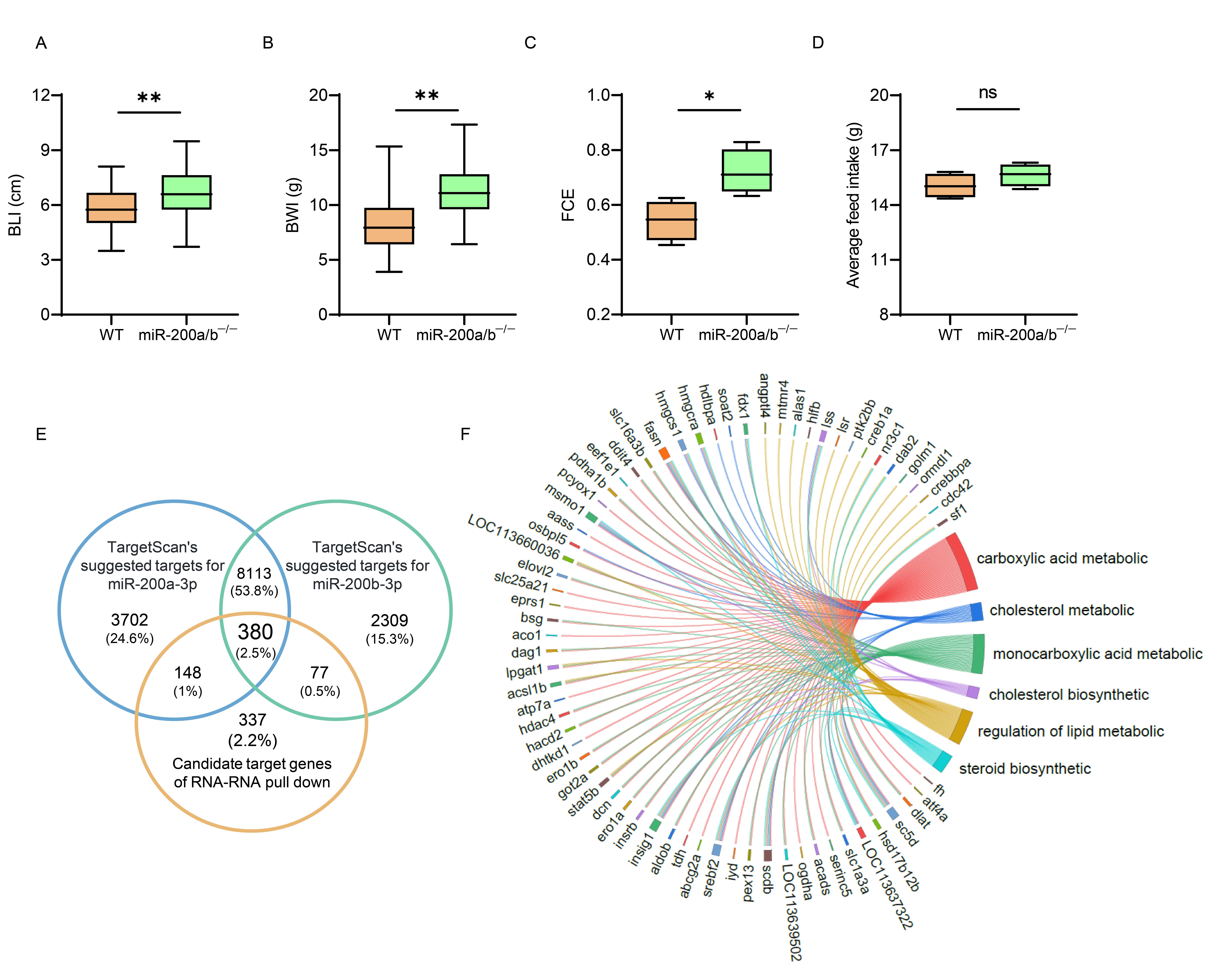 球盟会(中国)揭示鱼类速生和高饲料转化率性状耦合机制